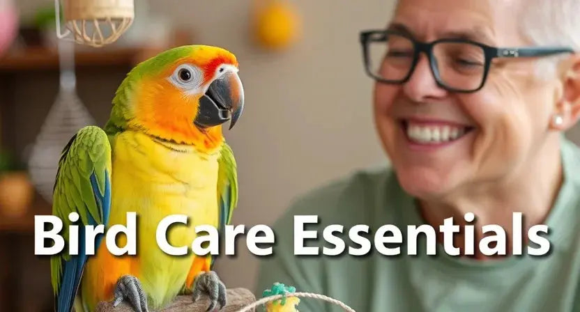 Bird Care Essentials Every Owner Should Know: A Complete Guide - Poochi Paws