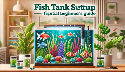 Fish Tank Setup: How to Set Up the Perfect Tank for Beginners