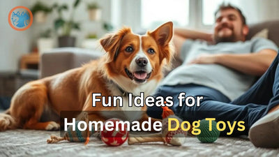 Fun Ideas for Homemade Dog Toys: Easy DIY Toys Your Pup Will Love