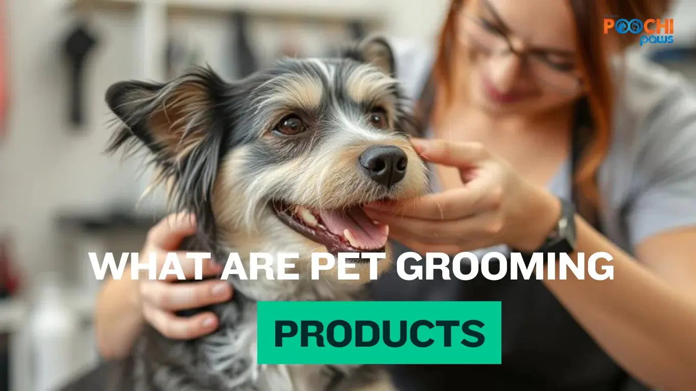 What-Are-Pet-Grooming-Products-and-Why-They-Matter-for-Your-Pet-s-Health Poochi Paws