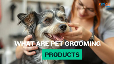 What Are Pet Grooming Products and Why They Matter for Your Pet's Health