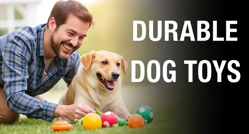 Why Durable Dog Toys Are Essential for Your Dog - Poochi Paws