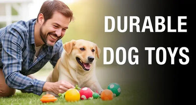 Why Durable Dog Toys Are Essential for Your Dog