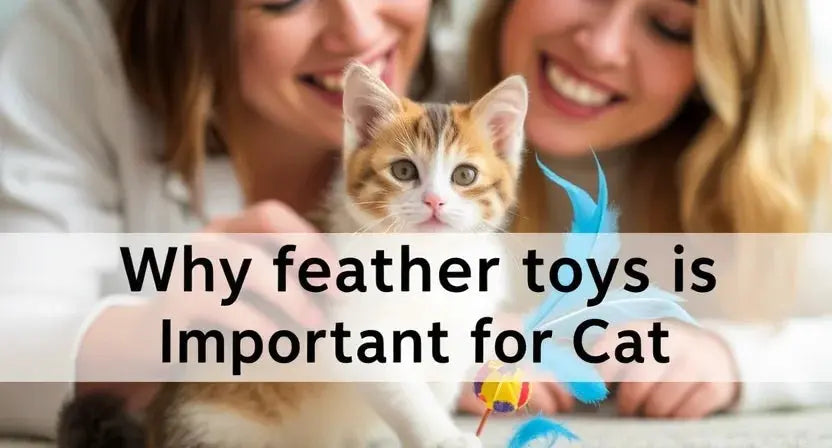 Why Feather Cat Toys Are a Must-Have for Playtime - Poochi Paws