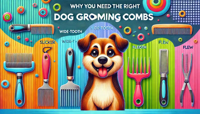 Why You Need the Right Dog Grooming Combs