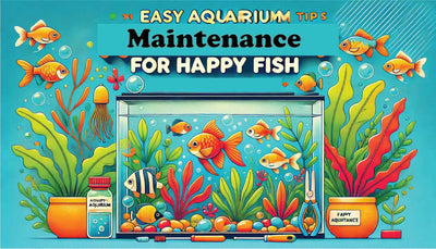 Easy Aquarium Maintenance Tips for Happy Fish