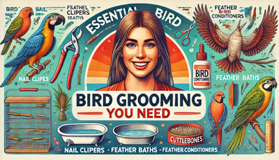 Essential Bird Grooming Supplies You Need for Happy Feathered Friends