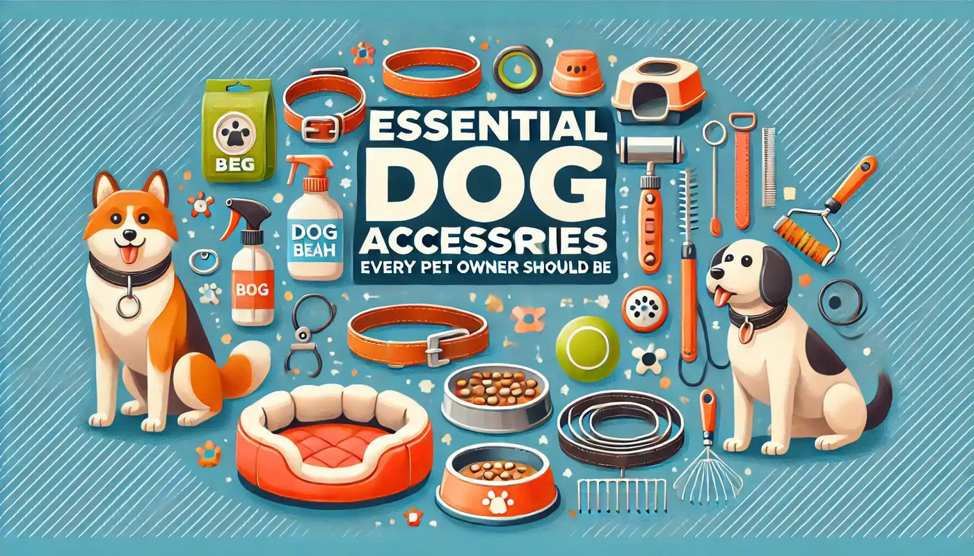 Essential Dog Accessories Every Pet Owner Should Have - Poochi Paws