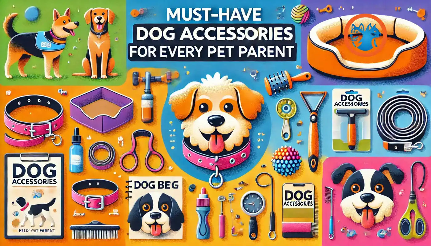 Must-Have Dog Accessories for Every Pet Parent - Poochi Paws