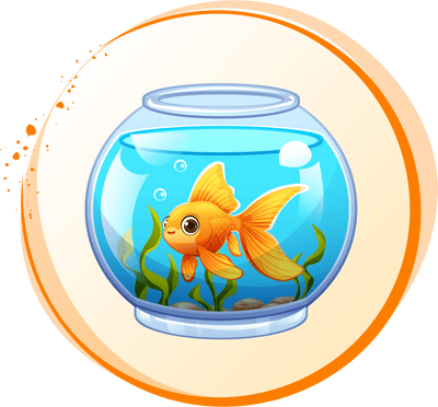 Fish & Aquatic Accessories