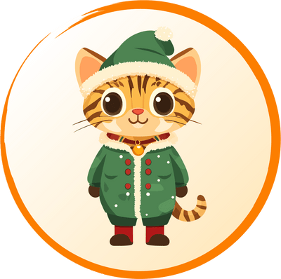 Cat Clothing