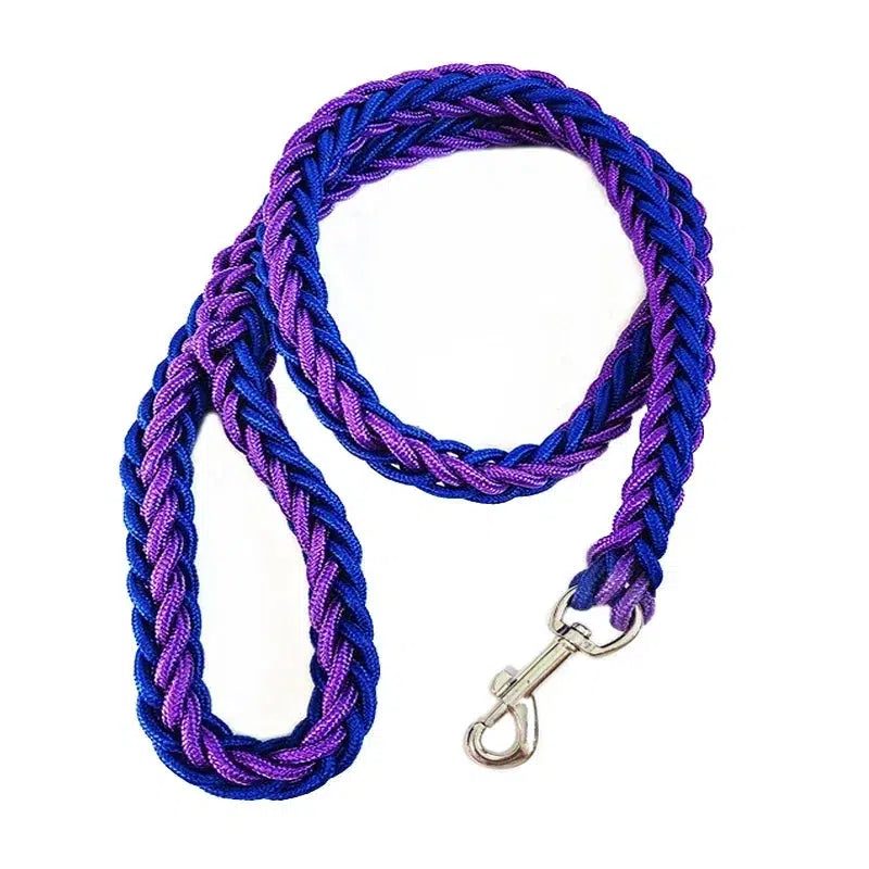 Durable Nylon Dog Leash Harness