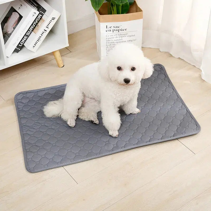 Washable Dog Pee Pad Blanket