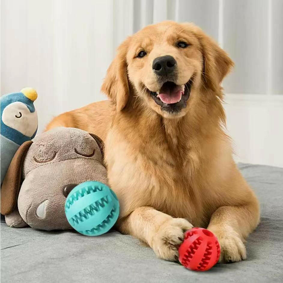 Interactive Dog Treat Ball