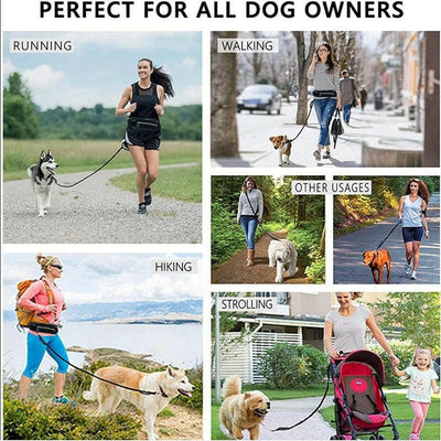 Hands-Free Dog Walking Leash