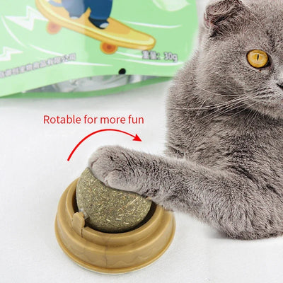 Natural Catnip Scratching Post