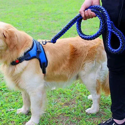 Durable Nylon Dog Leash Harness