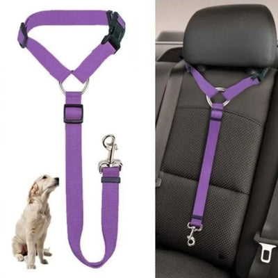 Two-in-One Pet Car Seatbelt