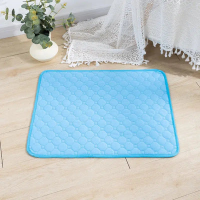 Washable Dog Pee Pad Blanket