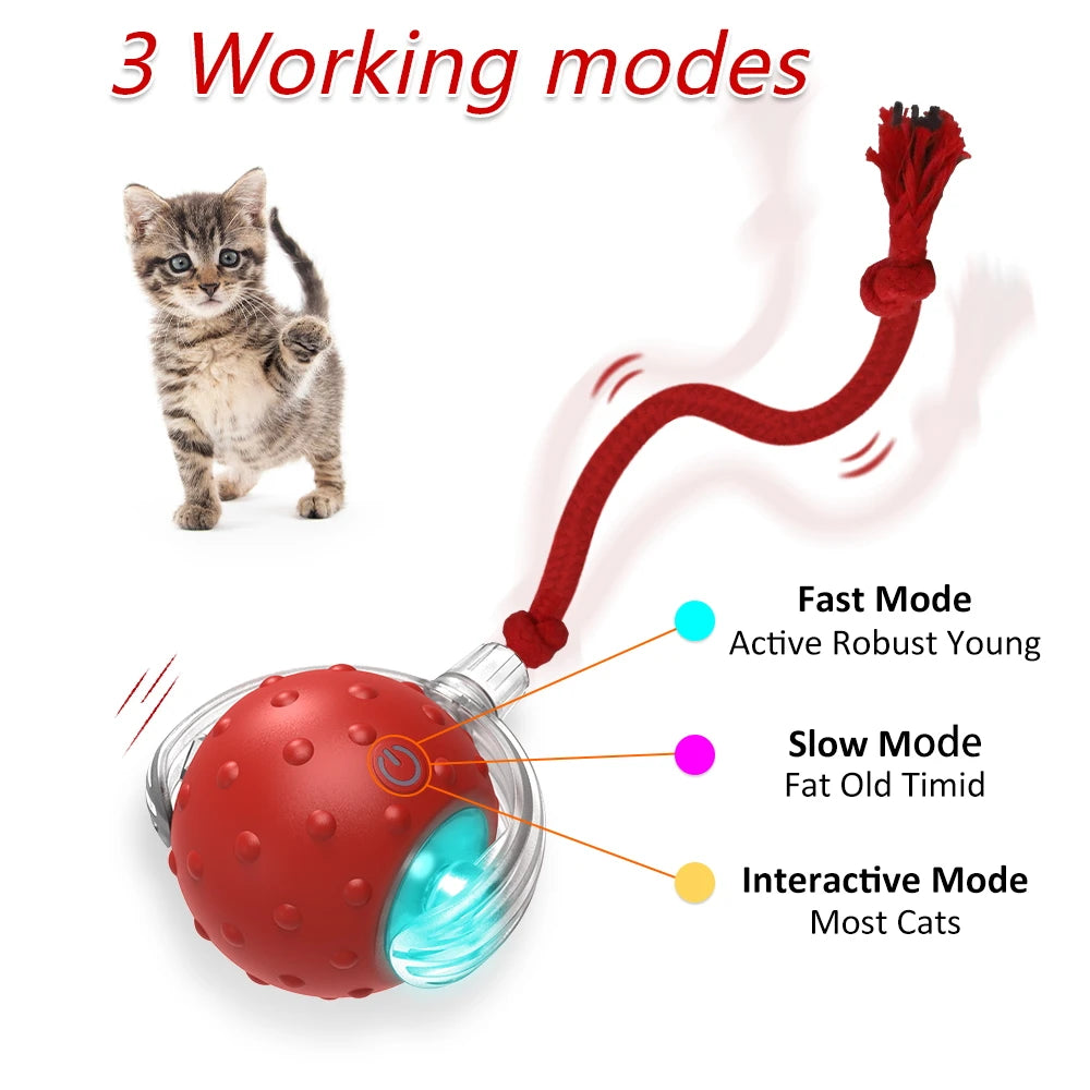 Chirping Cat Toy Ball