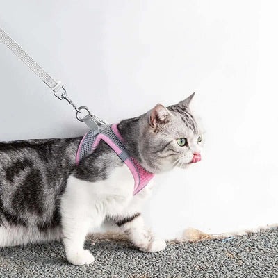 Adjustable Cat & Dog Harness Set