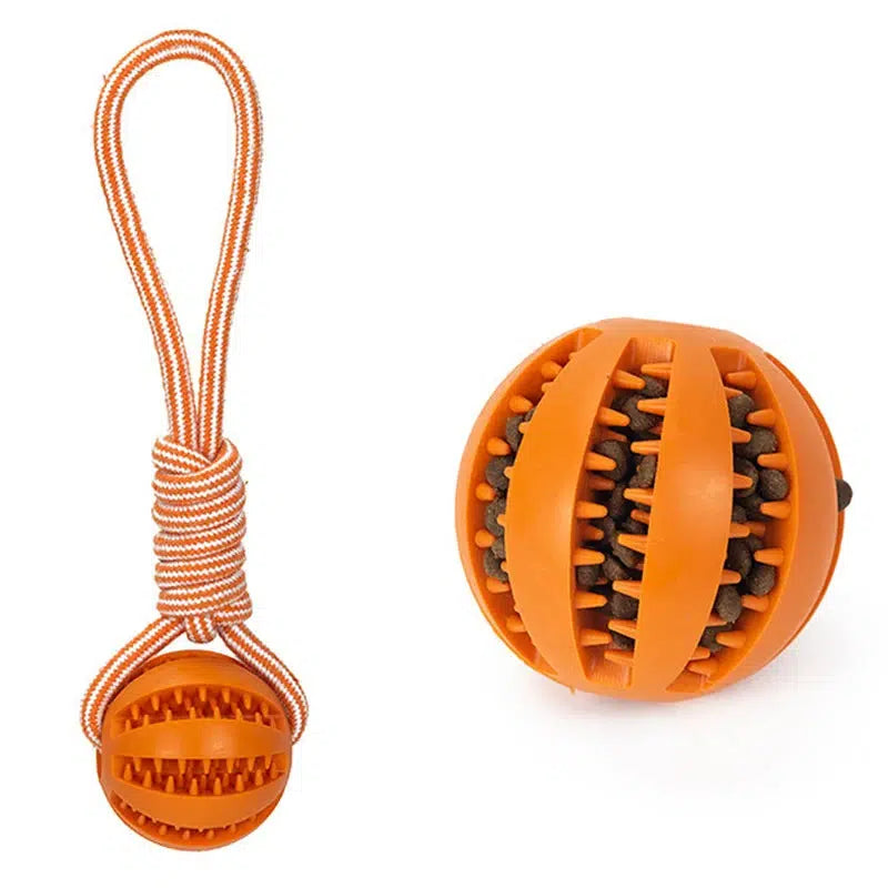 Interactive Dog Treat Ball