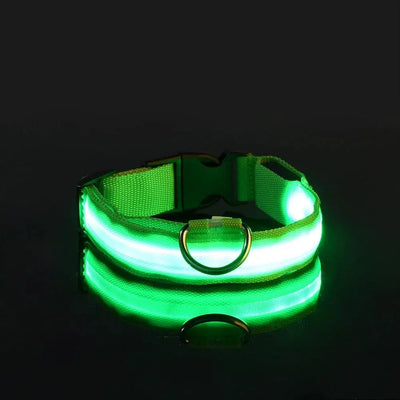 LED Glow Dog Collar