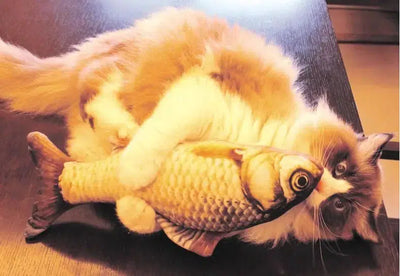 Plush Fish Cat Toy