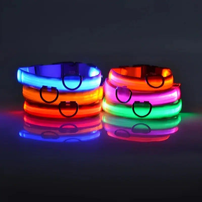 LED Glow Dog Collar