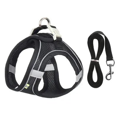 Adjustable Cat & Dog Harness Set