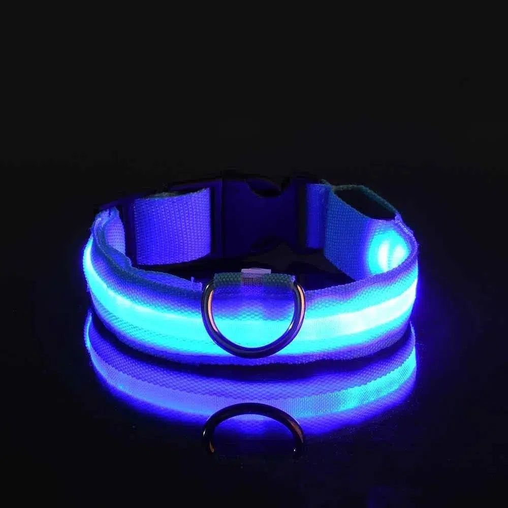 LED Glow Dog Collar