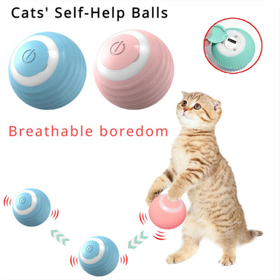 360° Cat Toy Ball