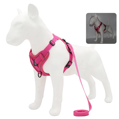 Reflective Dog Harness Set