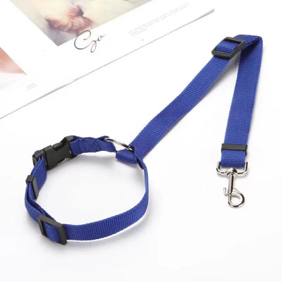 Two-in-One Pet Car Seatbelt