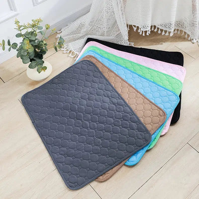 Washable Dog Pee Pad Blanket