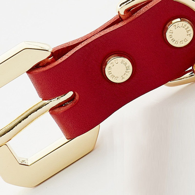 Golden Spike Red Collar – Bold, Durable, Luxurious Emerald Alfie