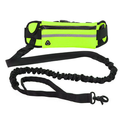 Hands-Free Dog Walking Leash