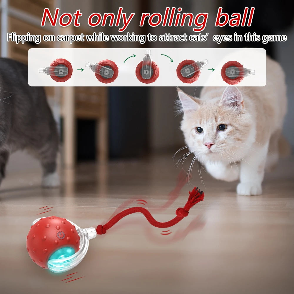 Chirping Cat Toy Ball