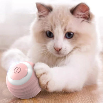 360° Cat Toy Ball - Poochi Paws