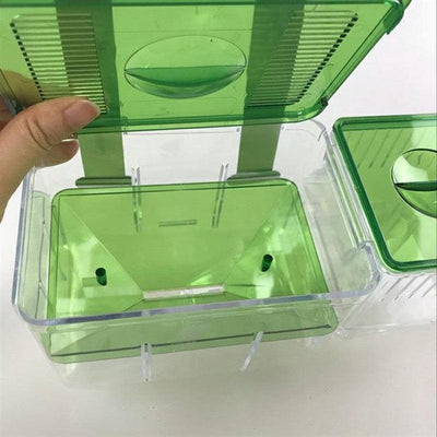 Guppy Isolation & Hatching Box