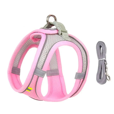 Adjustable Cat & Dog Harness Set