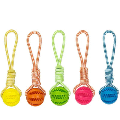 Interactive Dog Treat Ball