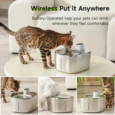 4L Automatic Stainless Steel Pet Water Fountain AliExpress