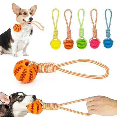 Interactive Dog Treat Ball