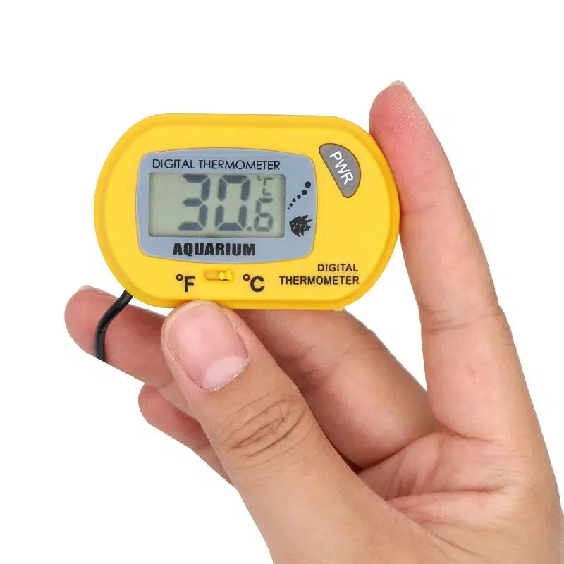 Digital Aquarium Thermometer