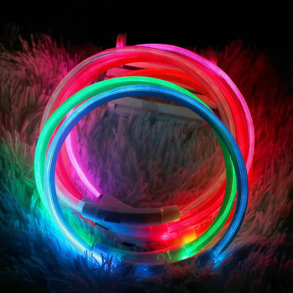 LED Dog Collar - USB Glowing