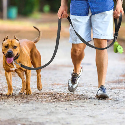 Reflective Pet Walking Leash