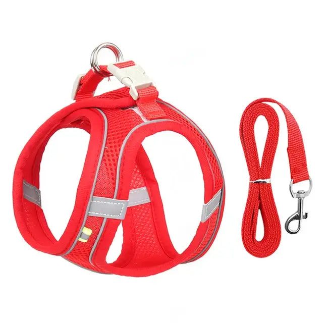 Adjustable Cat & Dog Harness Set