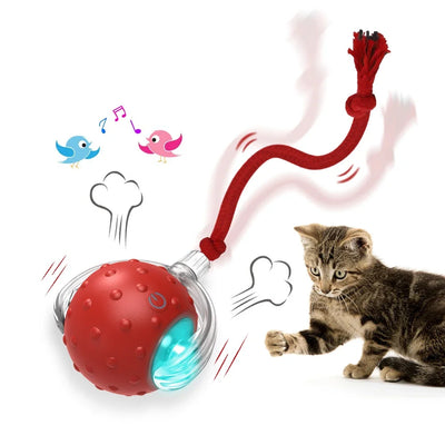 Chirping Cat Toy Ball