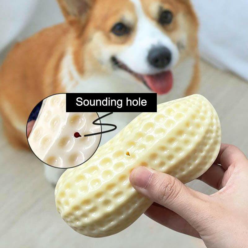 Squeaky Dog Chew Toy